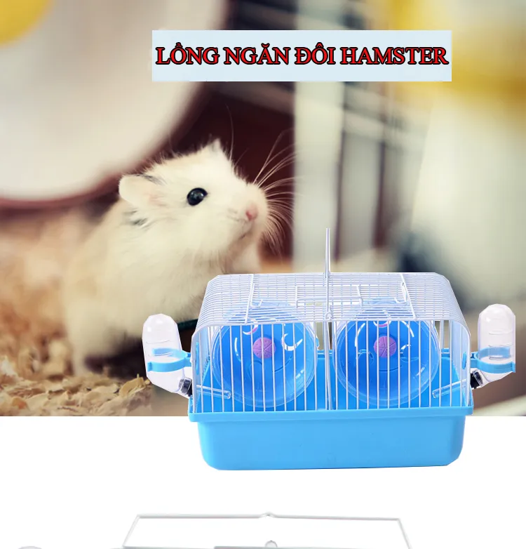 Nhím Kiểng Chuột Hamster Thỏ Bọ Ú  Đà Nẵng Hà Nội HCM Cẩm nang cách nuôi  Chuột Cảnh cho người yêu Hamster