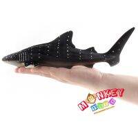 Monkey Toys - โมเดลสัตว์ Whale Shark ปลาฉลามวาฬ ขนาด 27.00 CM (จากหาดใหญ่)