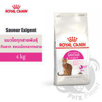 Royal Canin Savour Exigent อาหารสำหรับแมวโตช่างเลือก ที่ชอบรูปแบบเม็ดอาหารที่หลากหลาย อายุ1ปีขึ้นไป ขนาด4กก.