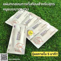 แผ่นทดสอบการตั้งท้องสำหรับแม่สุกร ตรวจตั้งครรภ์หมู แบบมาตรฐาน เก็บปลายทาง MNM15