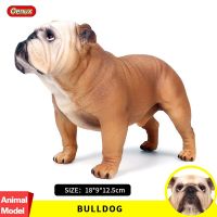 Classic Big Size British Bulldog Simulation Animals Brown Bulldog Action Figures Pet Dog Model Figurine Collection Toys