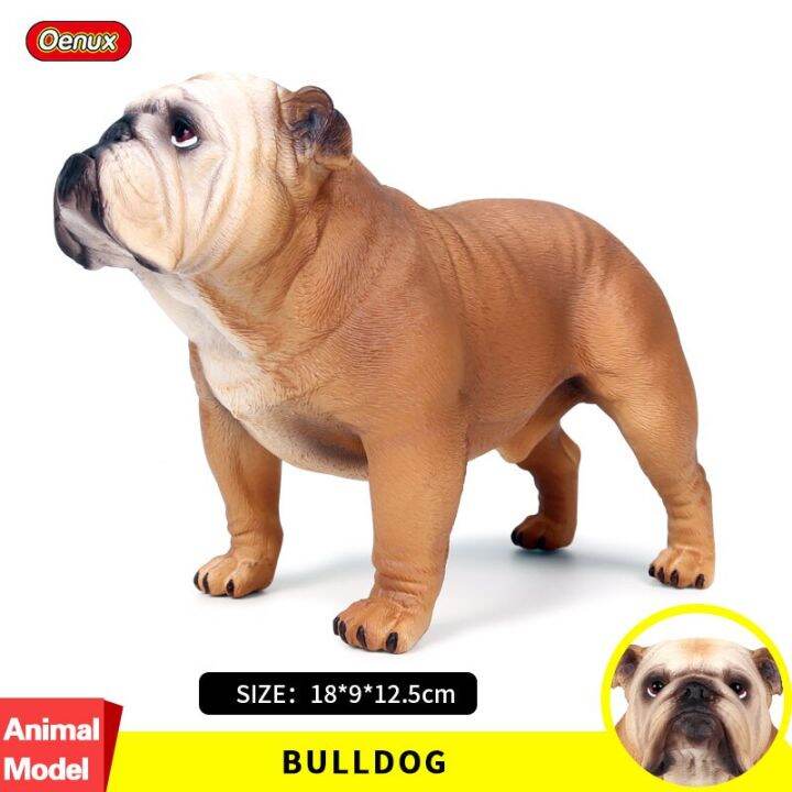 Toy bulldog hot sale size