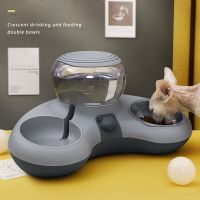 Pet Cat Bowl Automatic Feeder Dog Cat Food Bowl With Water Fountain Double Bowl Drinking Raised Stand Dish Bowls For Cats