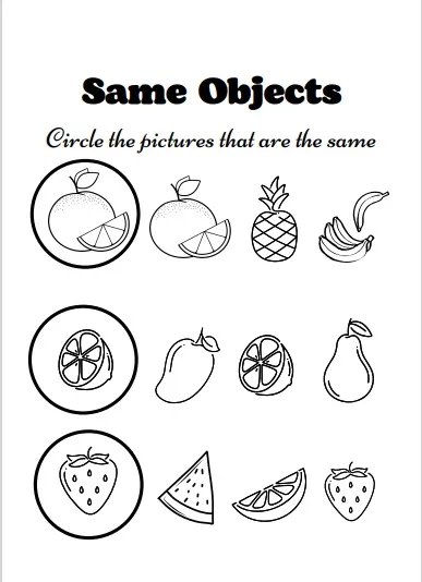same objects