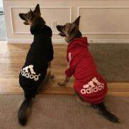 CUTE ELVES Hai chân Mùa đông Ấm Trang phục cho chó con Chihuahua Chó con