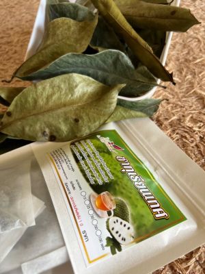 ทุเรียนเทศ ขนาด 30 ซองชา ชาทุเรียนเทศ ชาใบทุเรียนเทศ Organic Natural Pure Soursop / Graviola leaf ทำจากใบทุเรียนเทศ 100% สินค้ามาตรฐานวิสหกิจชุมชน