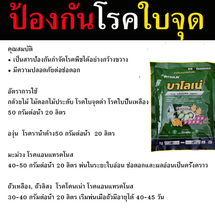 ยากันเชื้อรา-สารป้องกัน-กำจัดเชื้อรา-โรครากเน่าโคนเน่า-โรคราน้ำค้าง-100-กรัม