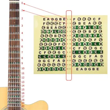 Fretboard Cleaner - Best Price in Singapore - Jan 2024