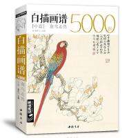 5000กรณีของการวาดภาพสีขาวและภาพวาดในเรื่องกลางหนังสือ kitaplar libros ฟรี