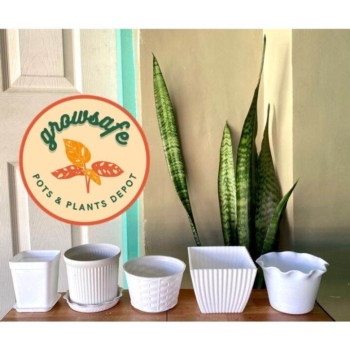 GROWSAFE Small white pot (for succulent snake plants plant souvenir