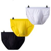 Mens Briefs Plus Size Men Underwear Panties L-4XL Mens Breathable Panties Solid Sexy Comfortable Shorts