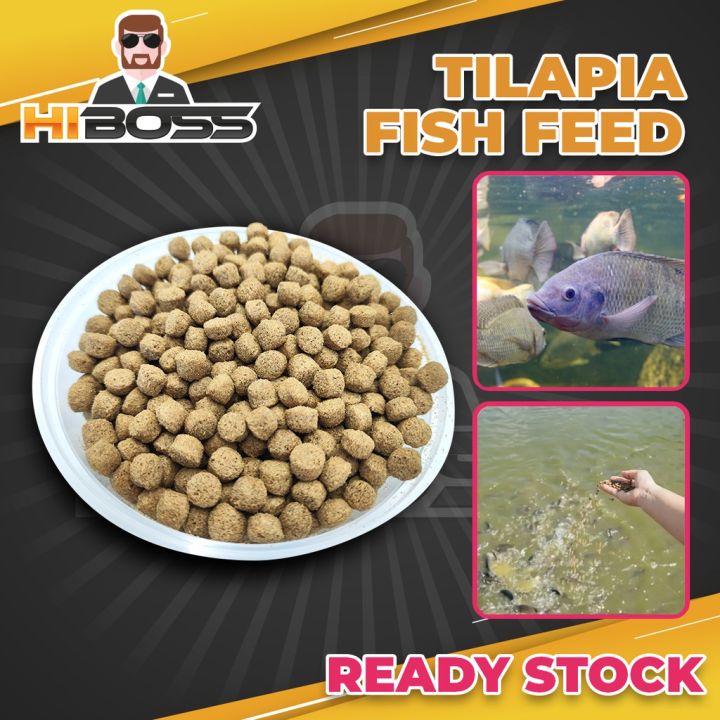 Pellet Makanan Ikan Tilapia 1KG 【 Saiz 9mm 】 HIGH PROTEIN Aquarium Fish