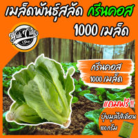 (เเถมปุ๋ย) เมล็ดพันธุ์ผักสลัด กรีนคอส 1000เมล็ด อัตราการงอก95% เมล็ดพันธุ์ ผักสลัด เมล็ดผัก เมล็ดผักสลัด พันธุ์พืช พันธุ์ผักสวนครัว