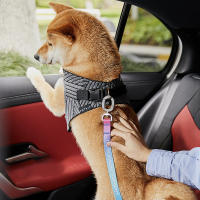 3 in 1 Car Safety Belt KIT Adjustable Cat Dog Seat Belt Durable Car Seat Belts Strong Metal Colorful Seatbelt