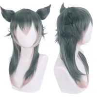 60CM Animal Rhapsody Wolf Cos Wig Regis Wolf Anthropomorphic Wig Anime Perform Long Straight Fluffy Hair Cosplay Molding Hair