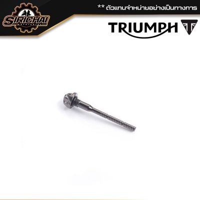 Triumph Oil Dipstick Grey - A9610215