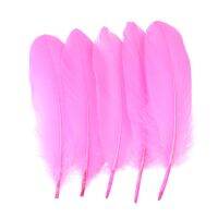 Dyed Feathers 15-20CM Decoration for Wedding Sewing Centerpiece Accessory Crafts 100Pcs/Lot Wholesale