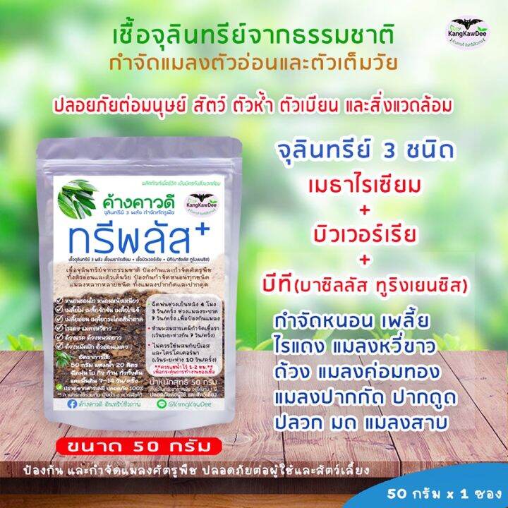 ปุ๋ยฟื้นบำรุงต้นใบ-ไม้ใบ-ไม้ด่าง-ไม้ฟอกอากาศ-ไม้ประดับไม้ดอก-ใบเหลือง-ใบไหม้-ใบเล็ก-ต้นไม่โต-รากเน่า-ปุ๋ยค้างคาวดี-เร่งราก-เร่งต้นใบ