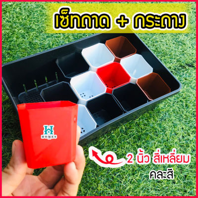 🍀เซ็ตถาดไดโซะเล็ก พร้อมกระถาง 2 นิ้ว สี่เหลี่ยม 12 ใบ  🍀 ถาดเพาะต้นกล้า ถาดเพาะต้นอ่อน ถาดเพาะ กระถางแคคตัส กระบองเพชร ไม้อวบน้ำ homes