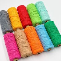 【CW】 boho decor 2mm Cotton Cord Colorful Rope Twisted Macrame String Wedding decoration supply 110yards