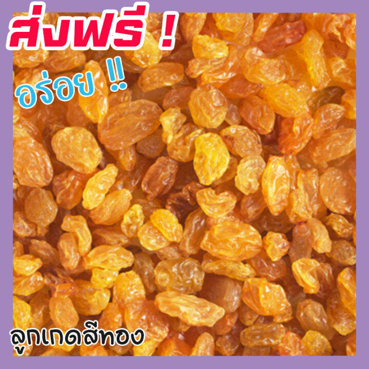 ส่งฟรี-ซื้อ-1-ฟรี-1-ลูกเกดสีทอง-พร้อมทาน-เกรด-a-golden-raisins-คุณภาพดี-ขนาด-100กรัม-ฟรี-100กรัม-ไม่มีส่วนผสมของน้ำตาล-เหมาะสำหรับทุกวัย-premium-quality-products-ลูกเกดสีเหลือง-ลูกเกดเหลือง-เกดเหลือง-