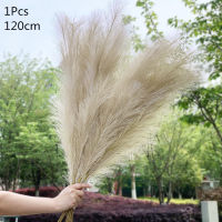 120cm Artificial Pampas Grass Dried Reed Flowers Bouquet Fake Plant For Home Room Decor Wedding Flowers Bunch Rabbit Tail Grass