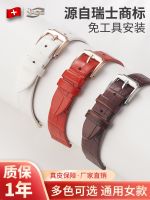 Ultra-thin watch with mens and womens real belt butterfly buckle accessories Suitable for Casio Omega King dw