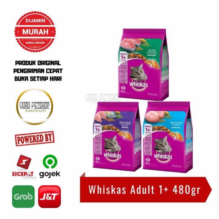 Whiskas Makanan Kering Kucing Adult 480gr Whiskas Adult 480gr Lazada