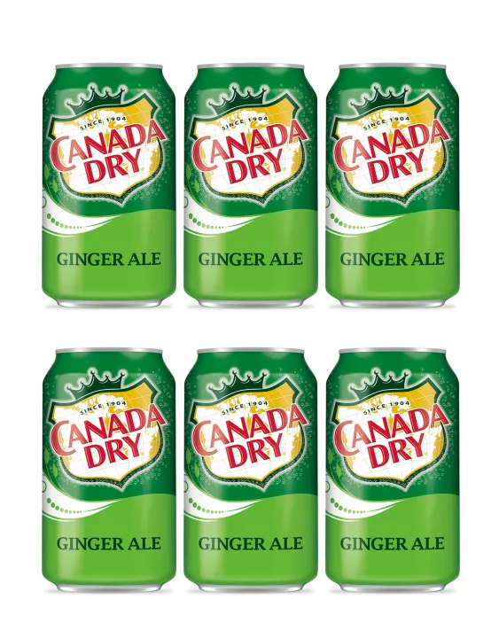 Canada Dry Ginger Ale 355ml (6 Cans) | Lazada PH