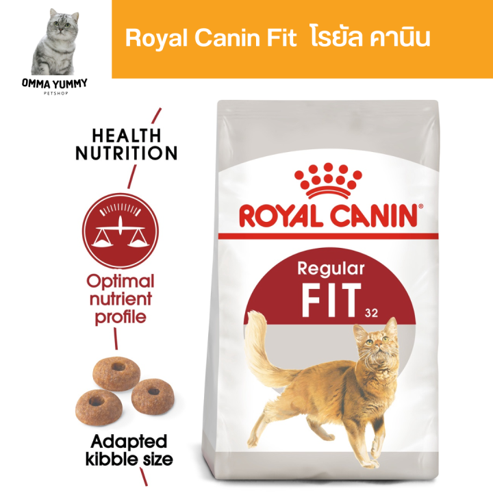 royal-canin-fit-1kg-อาหารเม็ดแมวโต-รูปร่างดี-อายุ-1-ปีขึ้นไป-dry-cat-food-โรยัล-คานิน