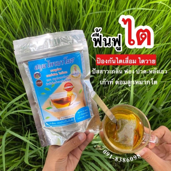 ส่งฟรี-2ห่อ-มี40ซอง-สมุนไพรมาโนช-ชามาโนชห่อฟ้า-บำรุงไต-ลดอาการปวดหลัง-ข้อ-ปัสสาวะมีกลิ่น