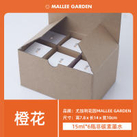 MALLEE GARDEN Color Ink 15ml * 6 Bottles Non Carbon INK Calligraphy PEN INK Painting Watercolor