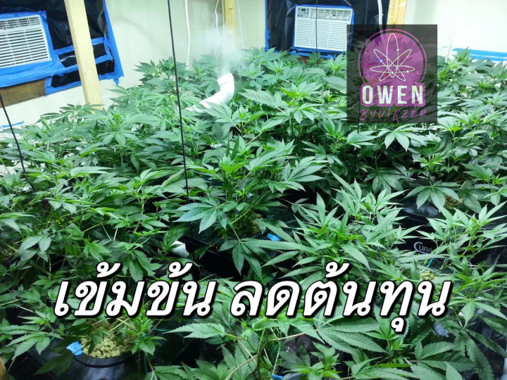 ปุ๋ยทำใบ-grow-น้ำหมักเข้มข้น-ปุ๋ยน้ำ-กัญ-420-ใบเขียว-ไนโตรเจนสูง-ขนาด-1-ลิตร-อินทรีย์ชีวภาพ-น้ำหมักชีวภาพ-กระท่อม-ไม้ใบ