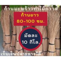 ( Promotion+++) คุ้มที่สุด ก้านมะพร้าว ยาว 80-100 ซม 10 กิโล ก้านไม้กวาดมะพร้าวแห้ง ก้านทางมะพร้าว ถวายพระ ทำบุญ หรื ราคาดี พรรณ ไม้ น้ำ พรรณ ไม้ ทุก ชนิด พรรณ ไม้ น้ำ สวยงาม พรรณ ไม้ มงคล