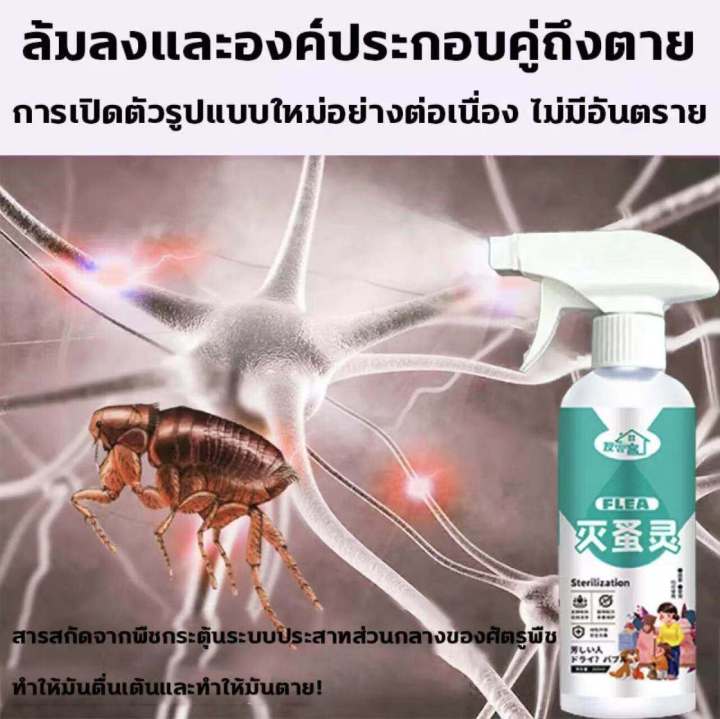 ขับไล่เหาและหมัด-ฆ่าเห็บและไร-flea-กำจัดเห็บและหมัด-สเปรย์กำจัดเห็บ-สเปรย์กำจัดเห็บหมัด-กำจัดเห็บหมัด-กำจัดเห็บหมัดสุนัข