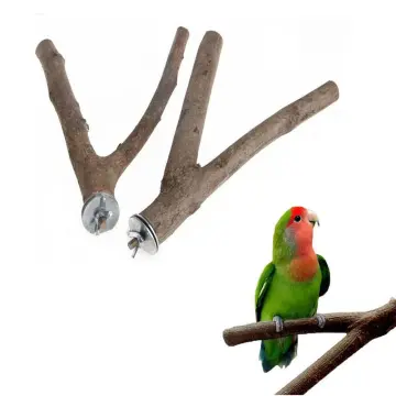 Bird Training Stand, Portable Tabletop Bird Perch Spin Training Perch for  Parakeets Conures Lovebirds or Cockatiels