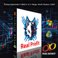 โปรแกรมเทรด FOREX EA Ninja Wolf Robot GMT V2.34 MT4