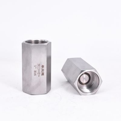 1/8" 1/4" 3/8" 1/2" 3/4" 1" BSP Female Hex One Way Check Valve Non-Return Inline 304 316 Stainless Steel