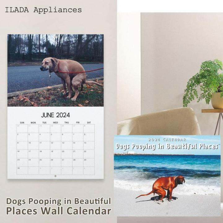 2024 Wall Calendar Funny Dogs Pooping in Beautiful Places Wall Calendar ...