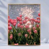 ✷❀ Tulip Pattern Printed Canvas DIY Flowers Cross Stitch Complete Kits Embroidery Set Cotton Thread Needlework Home Decoration