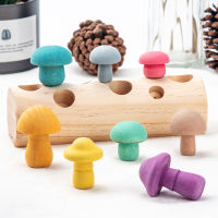 Montessori Wooden Rainbow Blocks Toys Childrens Mushroom Picking Toys Wooden Blocks Baby Education Toy Shape Matching Cognition