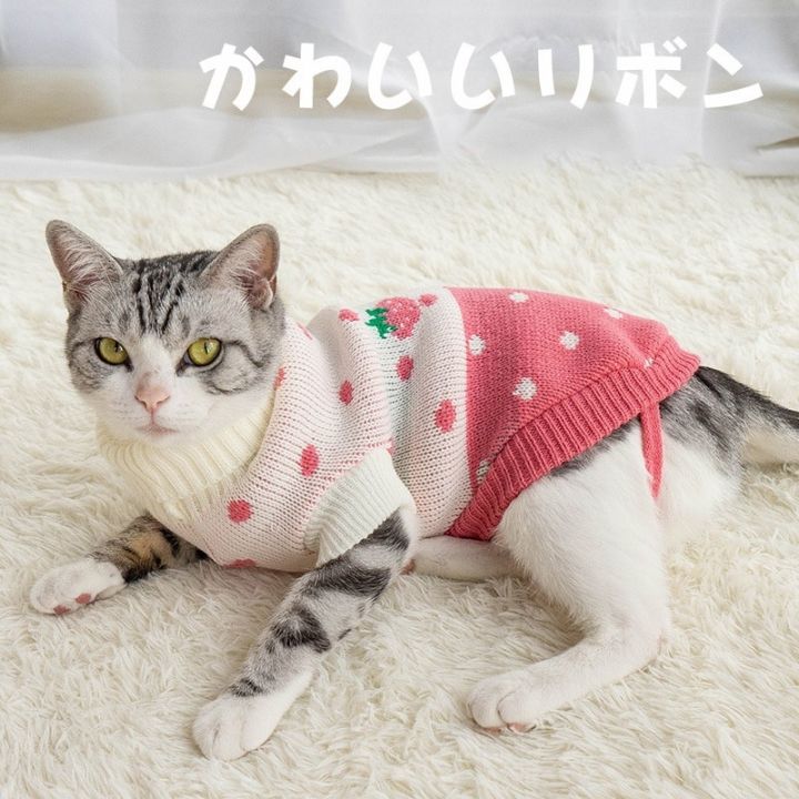 เสื้อกันหนาว-ผ้าถัก-ลายการ์ตูนชิวาวา-ขนาดเล็ก-ให้ความอบอุ่น-สําหรับสัตว์เลี้ยง-สุนัข-แมว