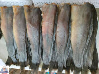 ปลาดุกร้า ปลาดุก สด สะอาด ทอดหอมอร่อย อ.ปากพนัง แพคละ 3-4 ตัว (300 กรัม-400 กรัม ตามขนาดน้ำหนัก)