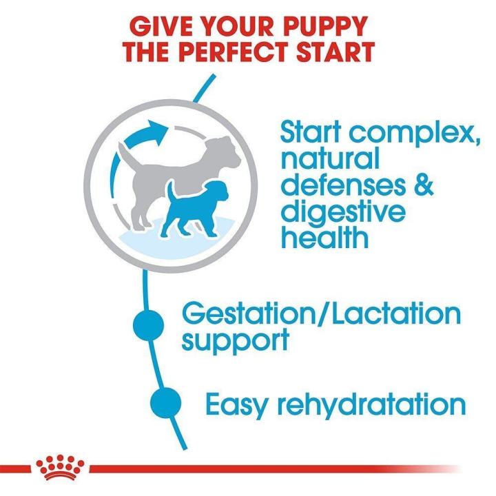 royal-canin-mini-starter-dog-food-อาหารลูกสุนัขพันธุ์เล็กอายุ1-2เดือน-และแม่สุนัขตั้งท้อง-รอยัลคานิน-สูตรเม็ดเล็ก-3-กก