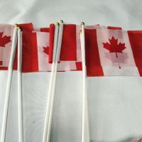 Canada flag 14x21cm 10pcs Canada Hand Waving Flag 14*21cm 100% polyester Canadian Small National Flags with Plastic Flagpoles