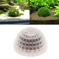 【cw】 Moss Filter Aquarium Shrimp Transparent Landscape Balls Accessories ！