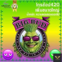 [Ready stcok]⭐⭐⭐⭐Advanced Nutrients | #BigBud ปุ๋ยเร่งดอกใหญ่ ปุ๋ยเพิ่มน้ำหนักดอก และผลผลิต  #Advanced Nutrients Big Bud PK Booster⭐⭐⭐⭐⭐⭐ส่งฟรี