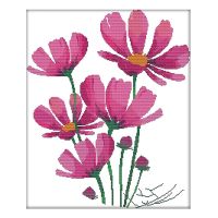 Cross Stitch Kits Stamped Patterns Embroidery Starter Kits for Adult Beginners and Kids for Home Decor (Galsang Flowers)