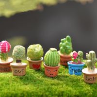 Miniature Cactus Potted Miniature Plants Micro landscape Garden Ornament DIY Home Decoration Dollhouse Decorations