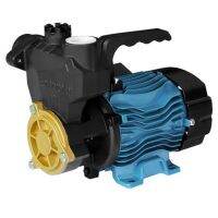 DAYUAN DGP-125 ปั๊มหอยโข่ง 1 ปั้ม Dayuan ปั๊มน้ำ  Self-Priming Pumps 125W ใบพัด BC สูง 23M